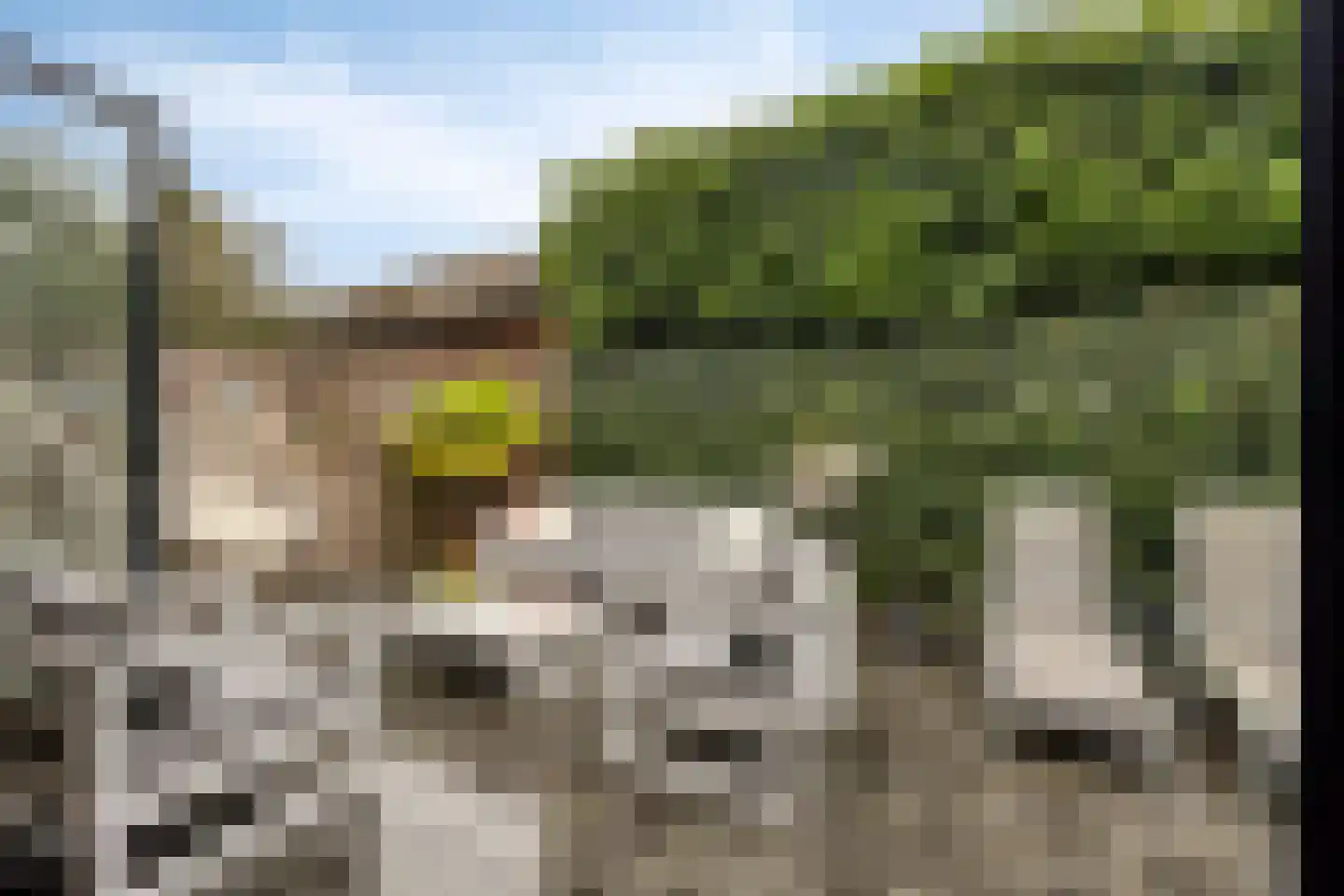 Heideblauwtje 2 Someren thumbnail 39