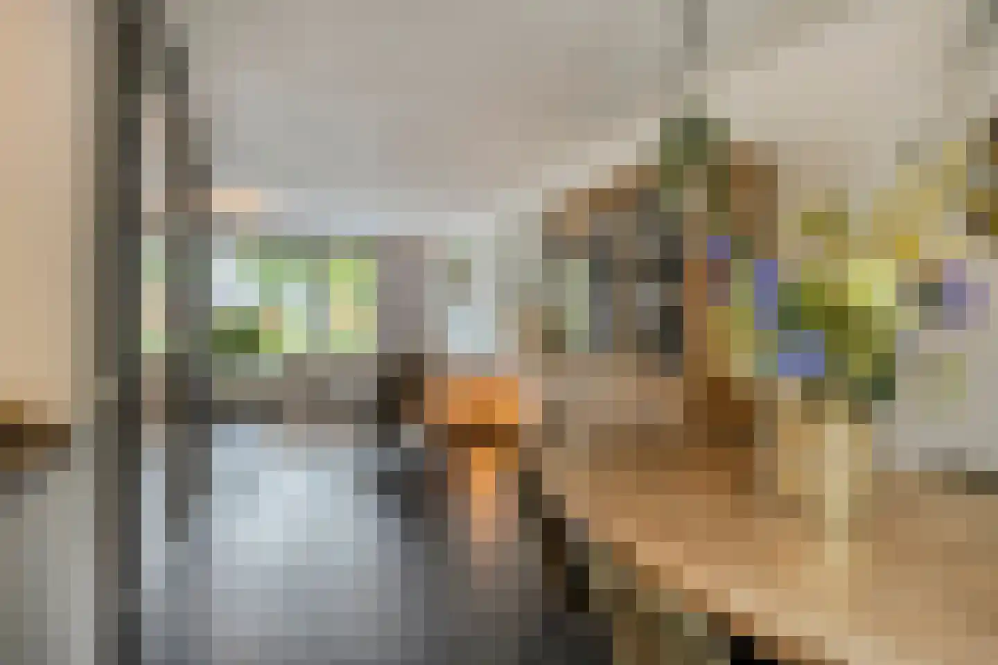 Heideblauwtje 2 Someren thumbnail 4