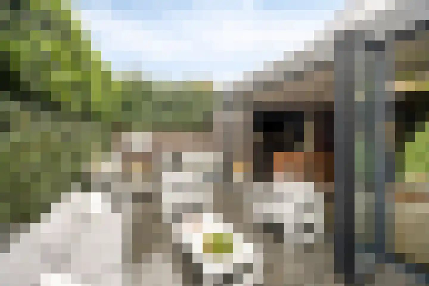 Heideblauwtje 2 Someren thumbnail 40