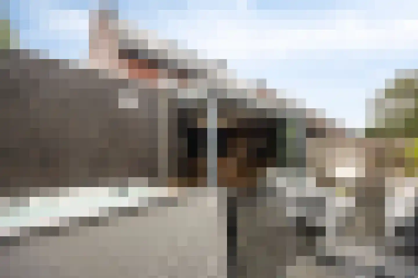 Heideblauwtje 2 Someren thumbnail 41