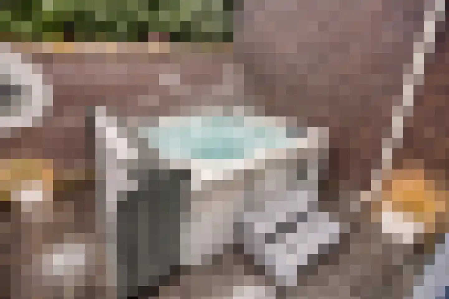Heideblauwtje 2 Someren thumbnail 42