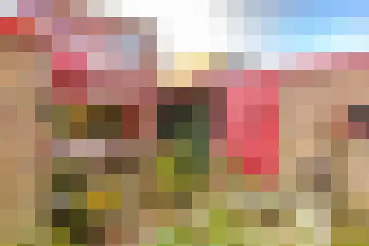 Heideblauwtje 2 Wolvega thumbnail 5