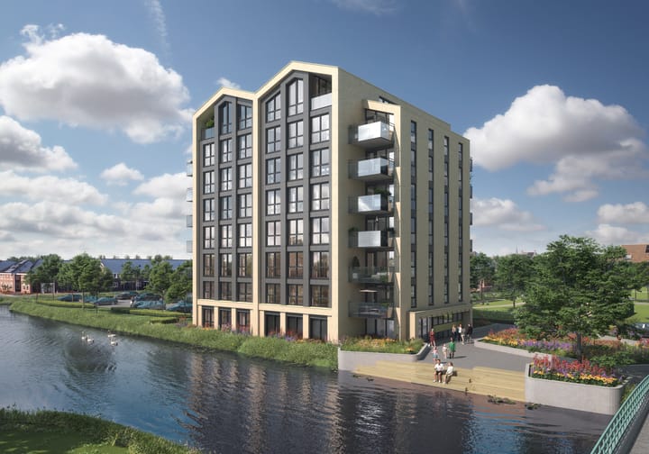 Heideblauwtje 24 dans Wolvega photo