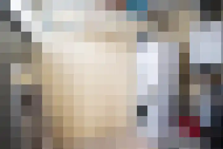 Heideblauwtje 28 Breda thumbnail 16