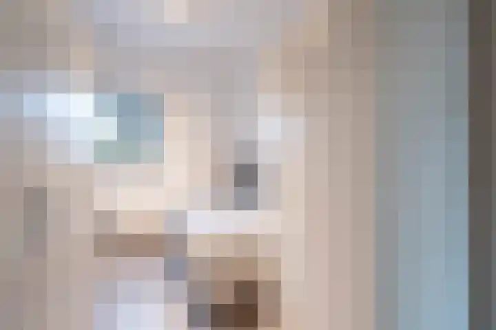 Heideblauwtje 28 Breda thumbnail 19