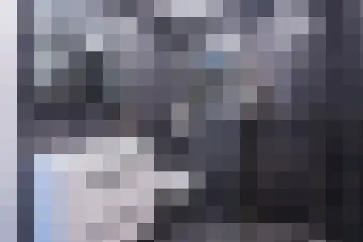 Heideblauwtje 28 Breda thumbnail 21