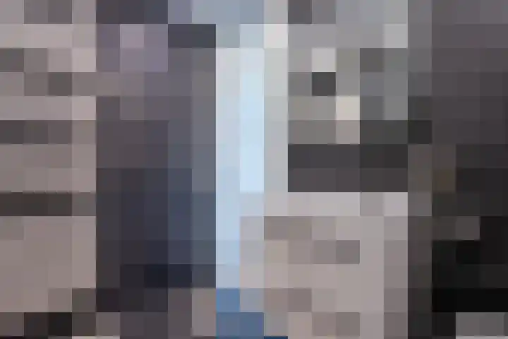 Heideblauwtje 28 Breda thumbnail 22
