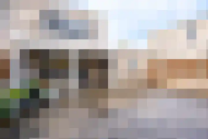 Heideblauwtje 28 Breda thumbnail 25
