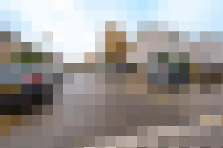 Heideblauwtje 28 Breda thumbnail 27