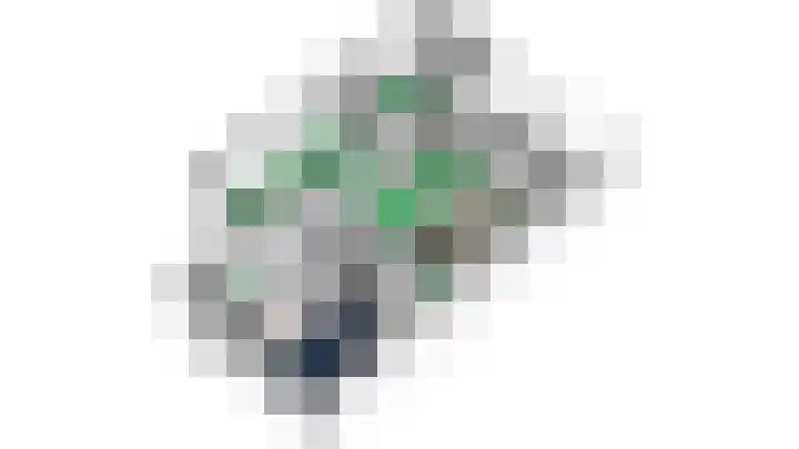Heideblauwtje 28 Breda thumbnail 32