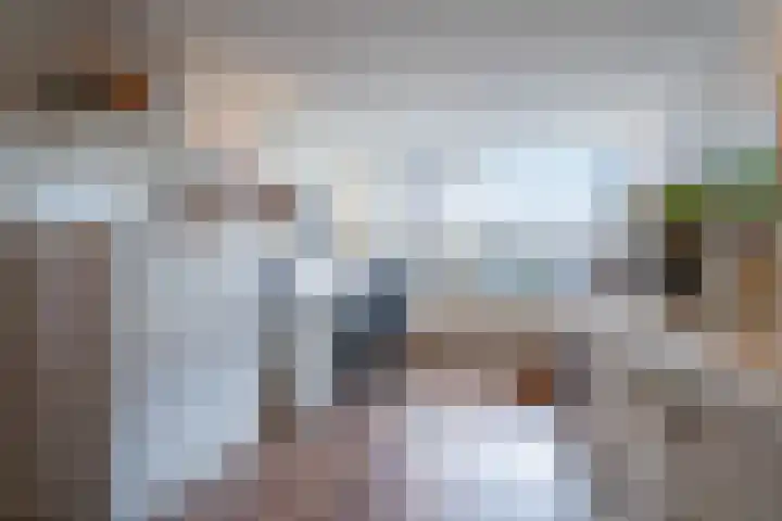 Heideblauwtje 28 Breda thumbnail 8