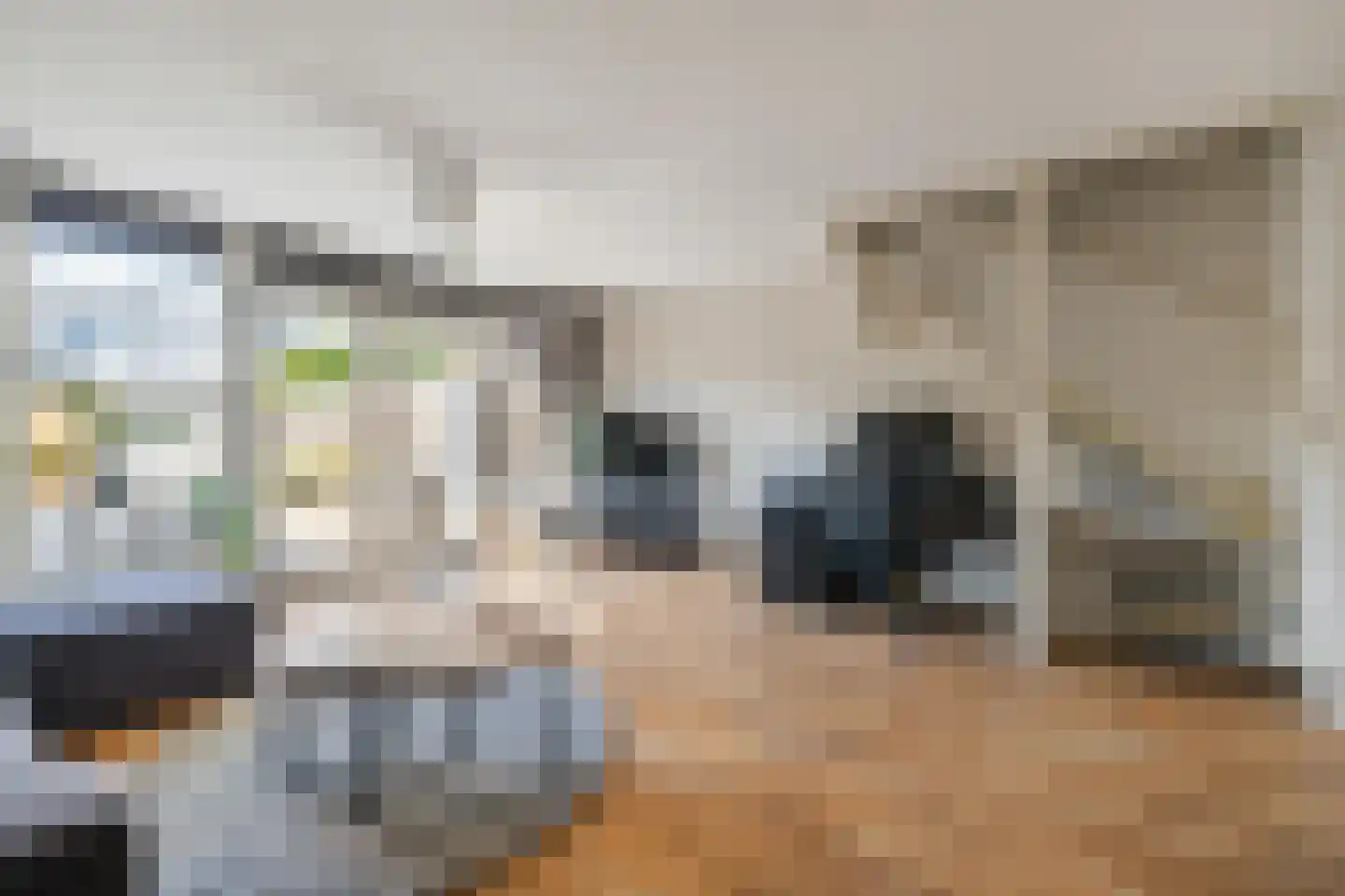 Heideblauwtje 29 Breda thumbnail 17