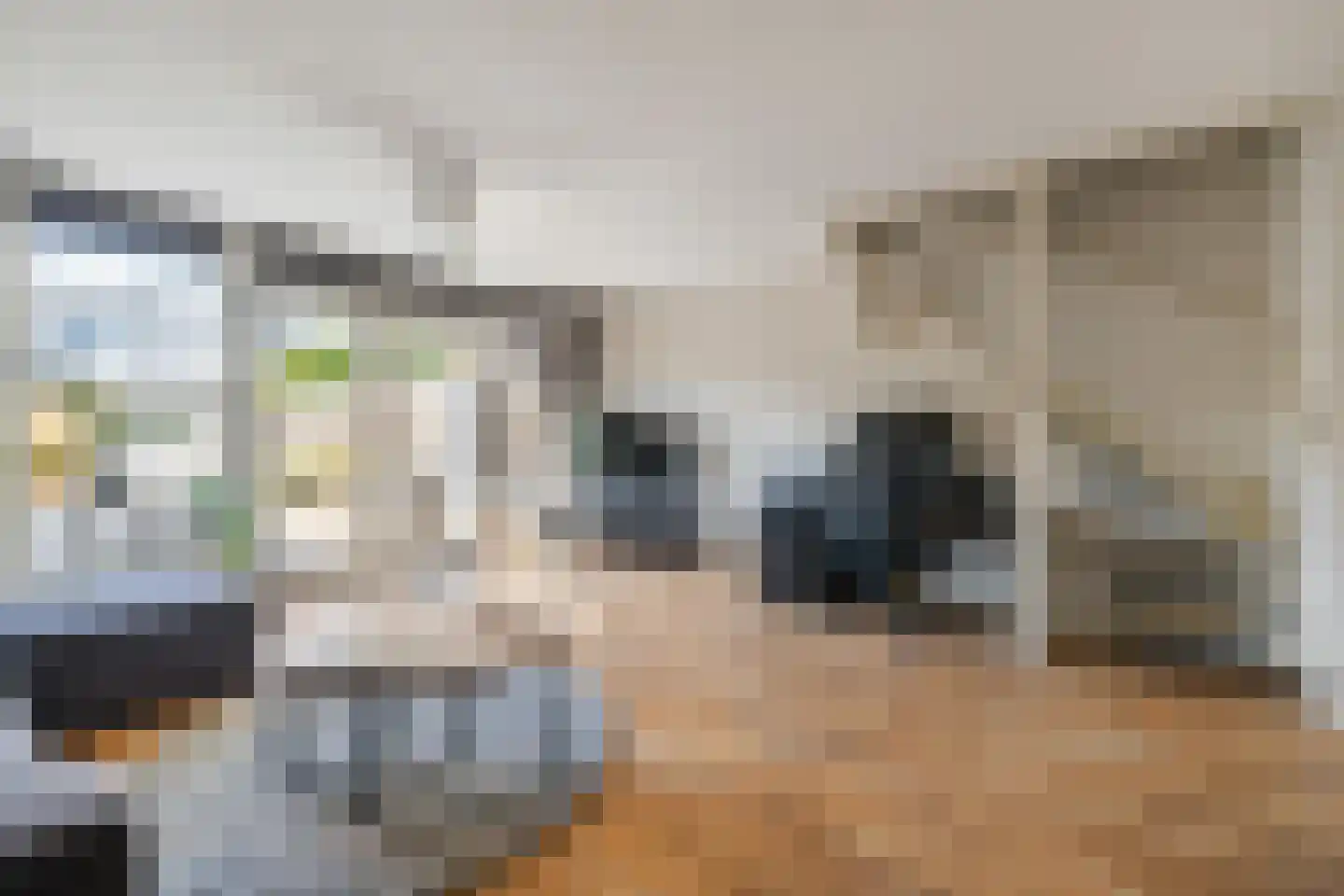 Heideblauwtje 29 Breda thumbnail 17