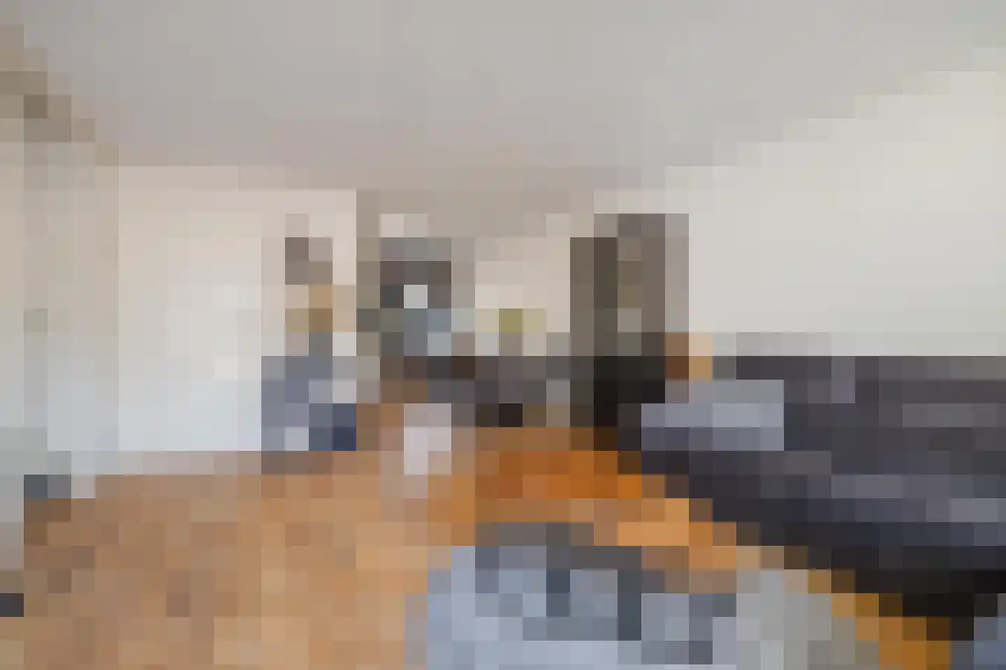 Heideblauwtje 29 Breda thumbnail 19