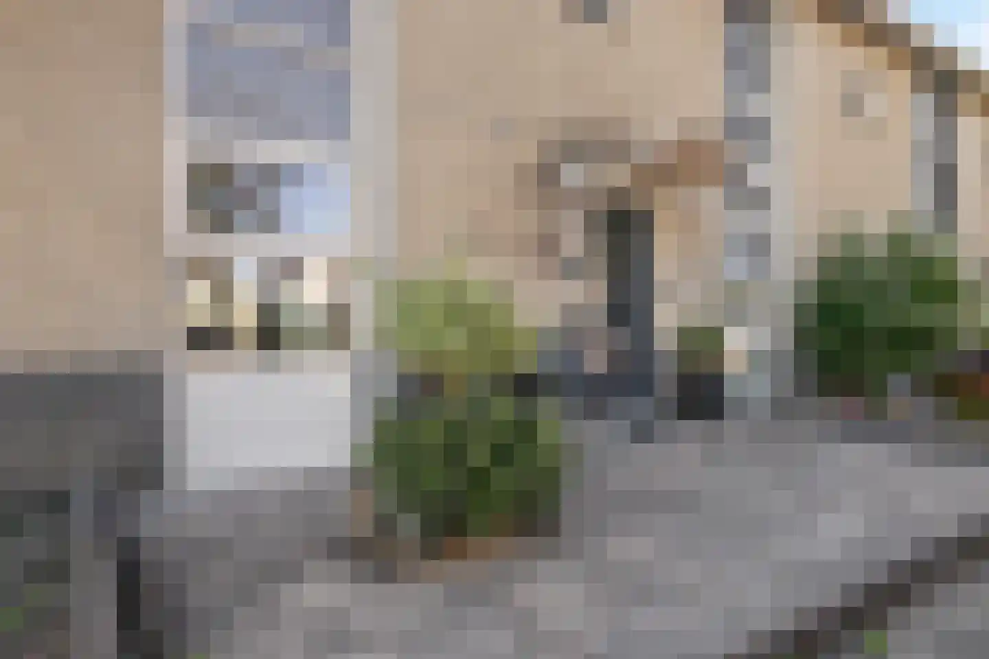 Heideblauwtje 29 Breda thumbnail 9