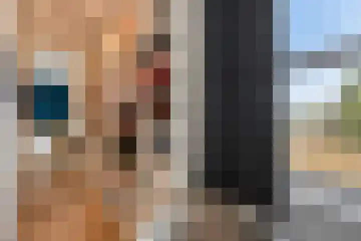 Heideblauwtje 4 Someren thumbnail 18