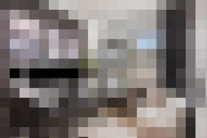 Heideblauwtje 4 Someren thumbnail 19