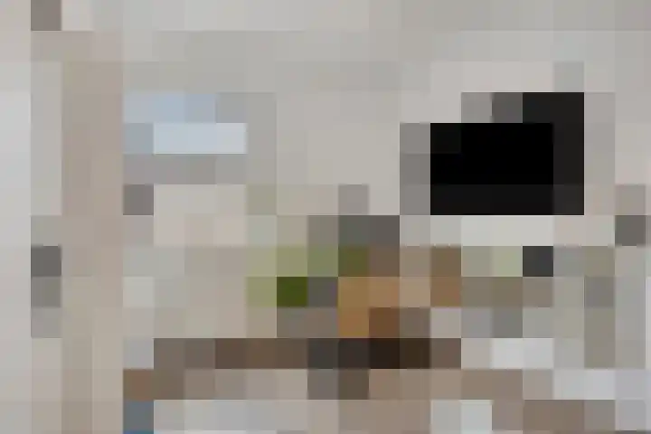 Heideblauwtje 4 Someren thumbnail 20