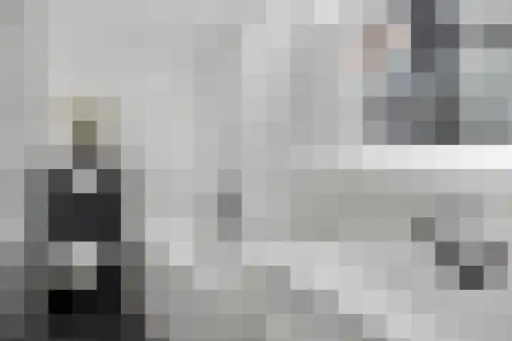 Heideblauwtje 4 Someren thumbnail 21
