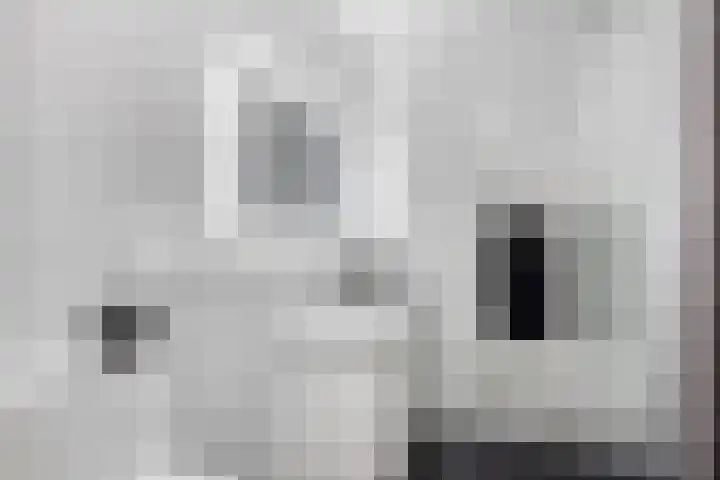 Heideblauwtje 4 Someren thumbnail 22