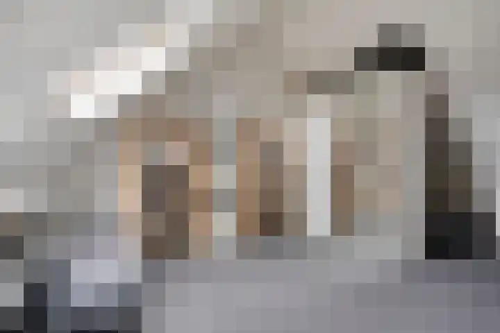 Heideblauwtje 4 Someren thumbnail 24