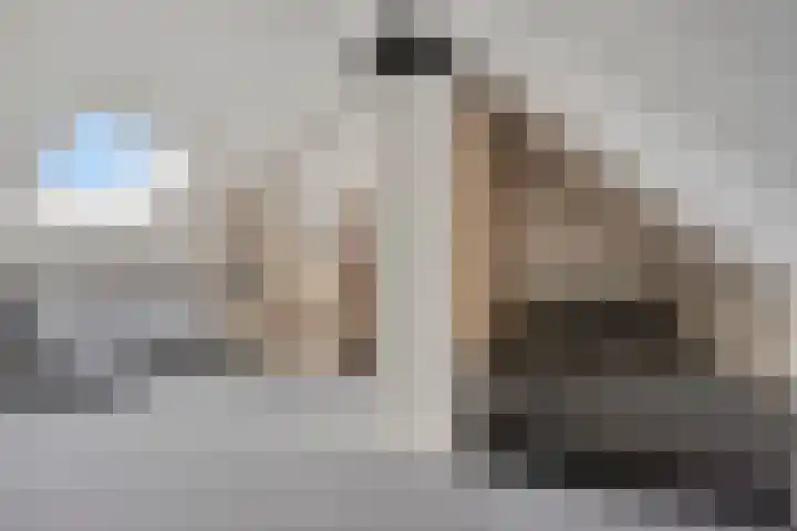 Heideblauwtje 4 Someren thumbnail 25