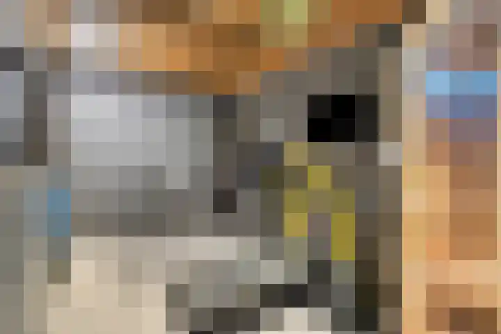 Heideblauwtje 4 Someren thumbnail 26