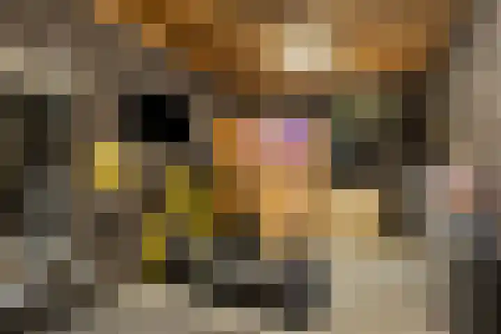 Heideblauwtje 4 Someren thumbnail 27
