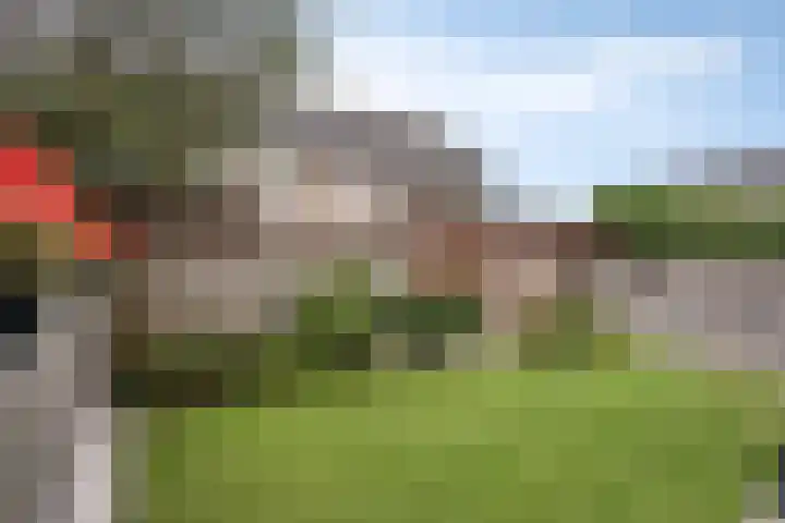 Heideblauwtje 4 Someren thumbnail 29