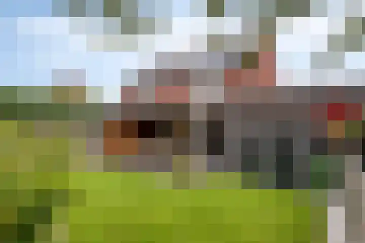 Heideblauwtje 4 Someren thumbnail 30