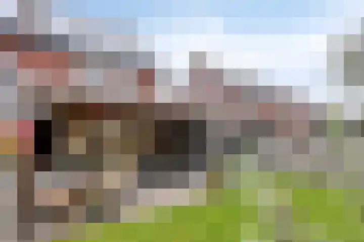Heideblauwtje 4 Someren thumbnail 31