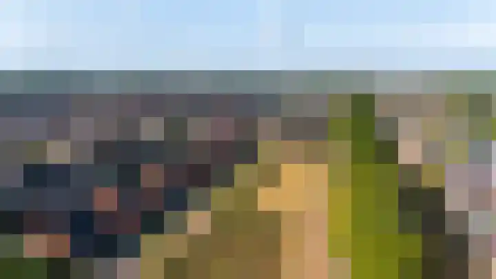 Heideblauwtje 4 Someren thumbnail 32