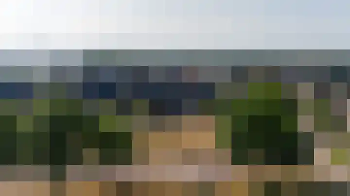 Heideblauwtje 4 Someren thumbnail 33