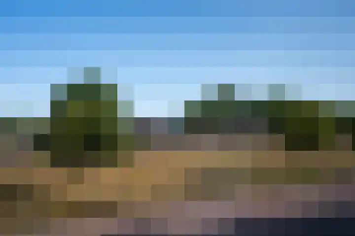 Heideblauwtje 4 Someren thumbnail 34