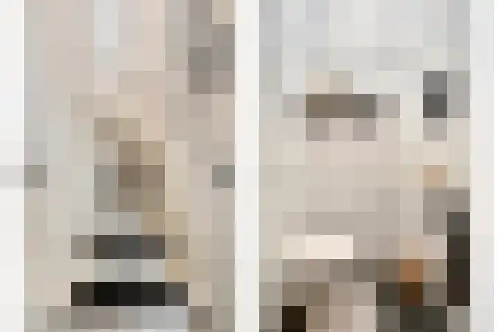 Heideblauwtje 4 Someren thumbnail 5