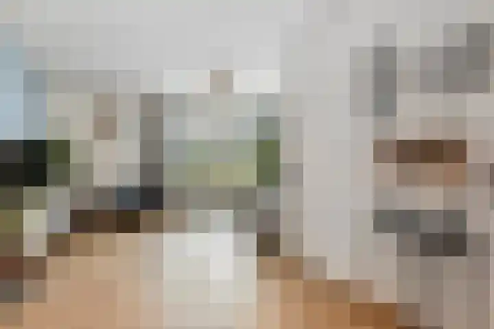Heideblauwtje 4 Someren thumbnail 7