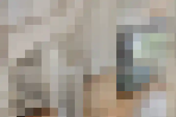 Heideblauwtje 6 Someren thumbnail 12