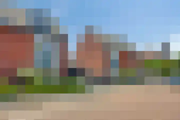 Heideblauwtje 6 Someren foto 2