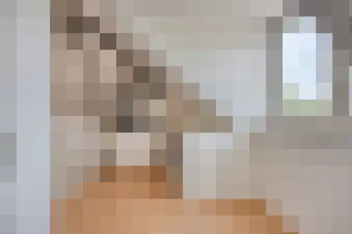 Heideblauwtje 6 Someren thumbnail 21