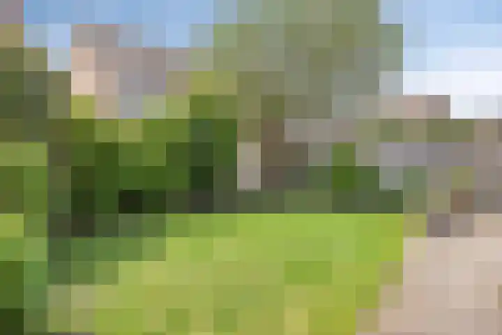 Heideblauwtje 6 Someren thumbnail 24