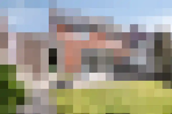 Heideblauwtje 6 Someren thumbnail 25