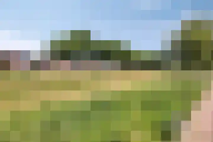 Heideblauwtje 6 Someren thumbnail 26