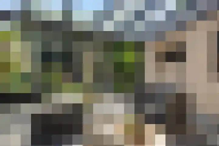 Heideblauwtje 7 Wolvega thumbnail 6