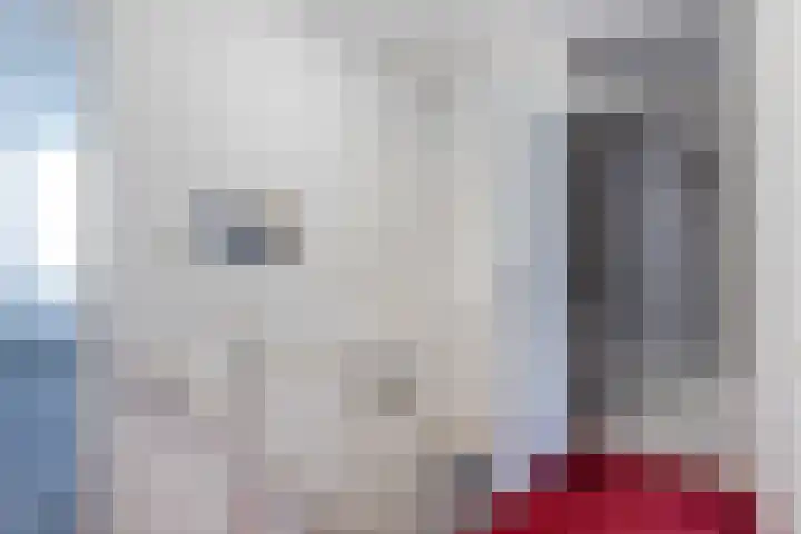 Heideblauwtje 8 Breda thumbnail 11