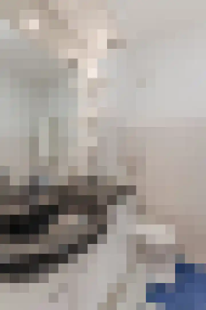 Heideblauwtje 8 Breda thumbnail 20