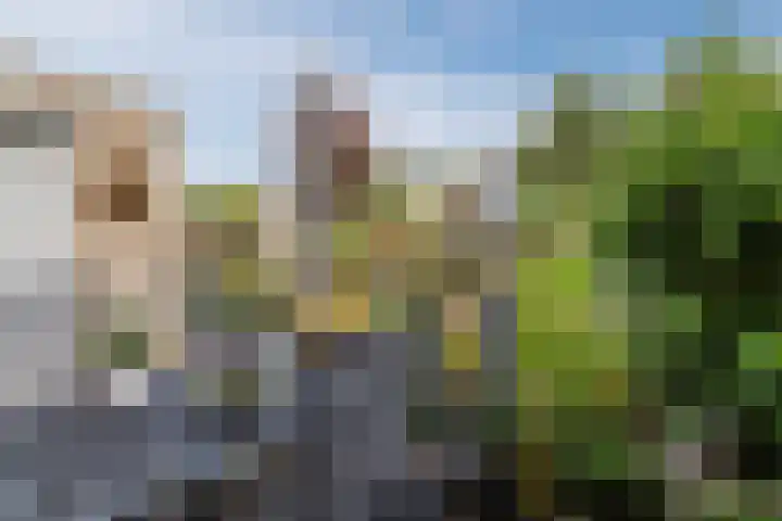 Heideblauwtje 8 Breda thumbnail 23
