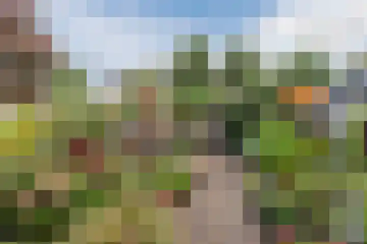 Heideblauwtje 8 Breda thumbnail 24