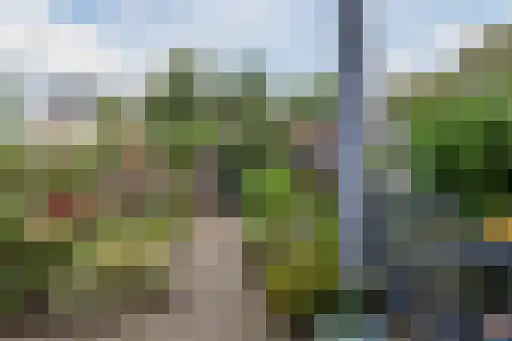 Heideblauwtje 8 Breda thumbnail 25