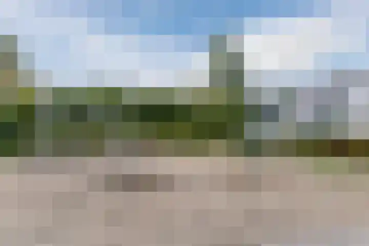 Heideblauwtje 8 Breda thumbnail 29