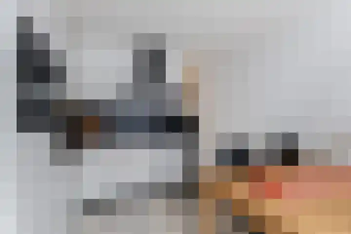 Heideblauwtje 8 Breda thumbnail 8